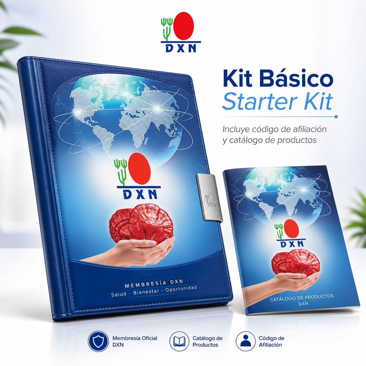 Kit Básico Starter Kit (Sin Producto)